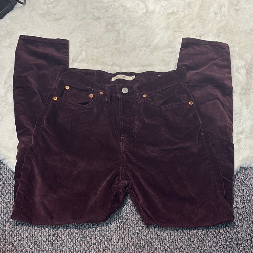 Levi Burgundy Pants